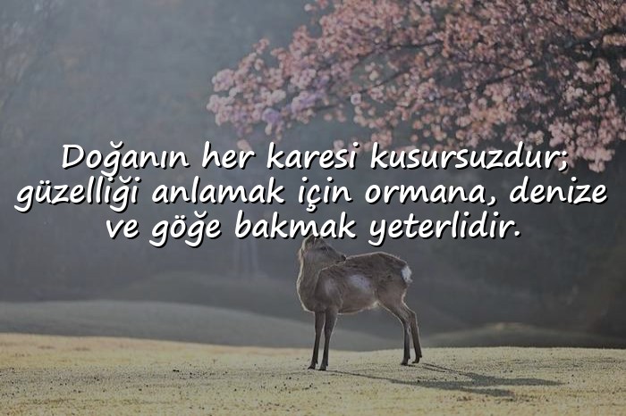 resimli güzellikle ilgili sözler - 1