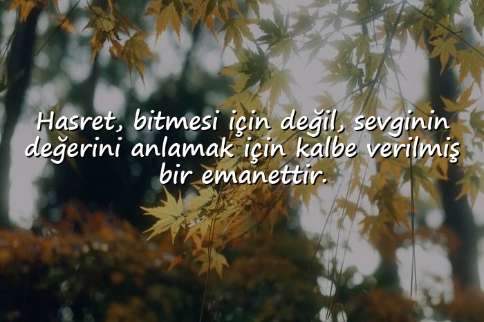 resimli hasret özlem sözleri - 1