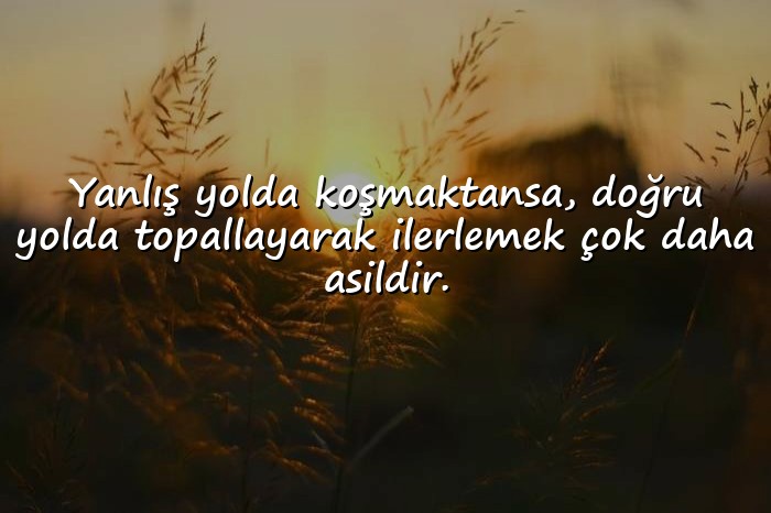 resimli hata ile ilgili sözler - 1