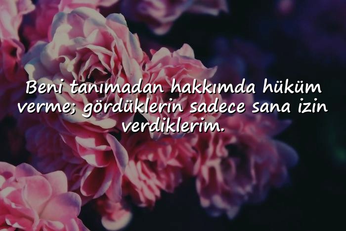 resimli havalı sözler - 10
