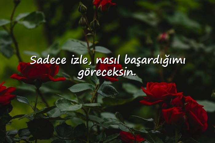 resimli havalı sözler - 15