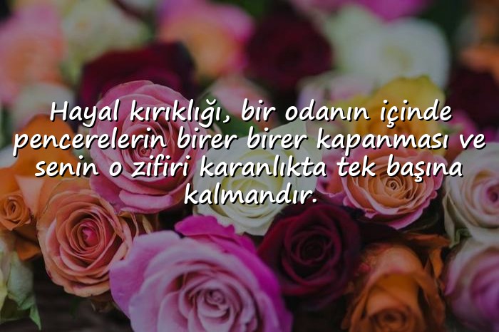 resimli hayal kırıklığı ile ilgili sözler - 6