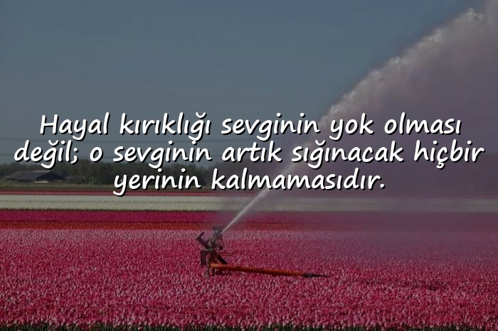 resimli hayal kırıklığı ile ilgili sözler - 21