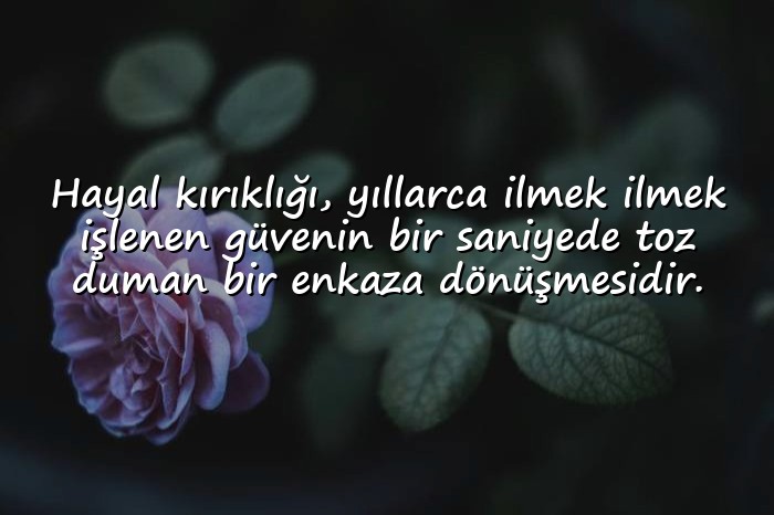resimli hayal kırıklığı ile ilgili sözler - 16