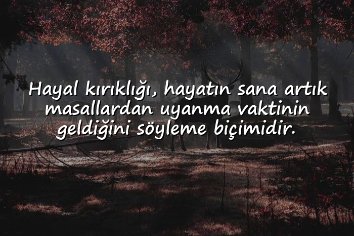 resimli hayal kırıklığı ile ilgili sözler - 6