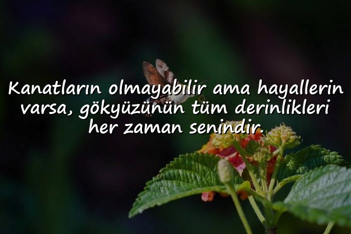resimli hayallerle ilgili sözler - 6