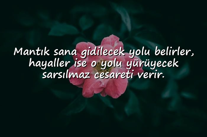 resimli hayallerle ilgili sözler - 1