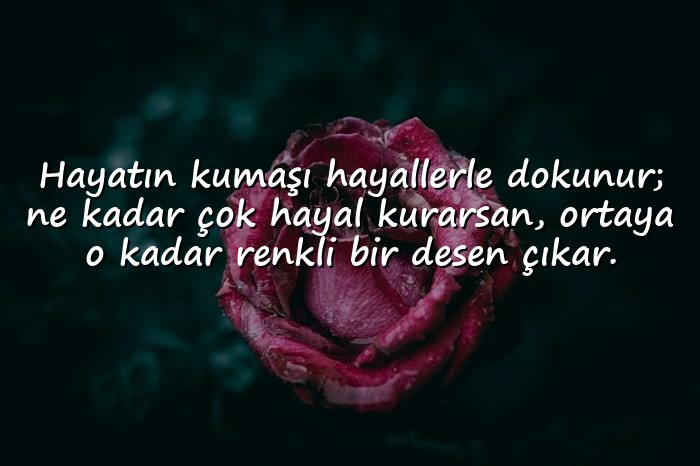 resimli hayallerle ilgili sözler - 11