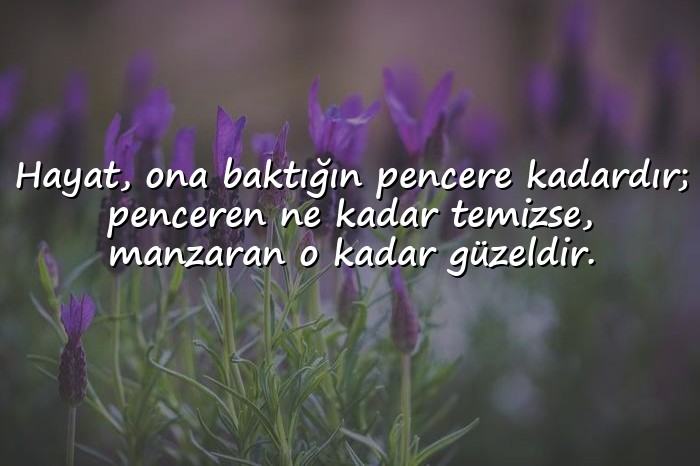 resimli hayat ile ilgili sözler - 18