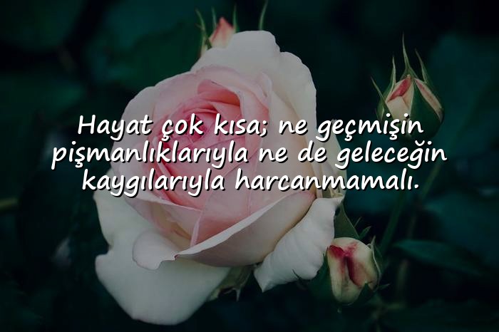 resimli hayat ile ilgili sözler - 8