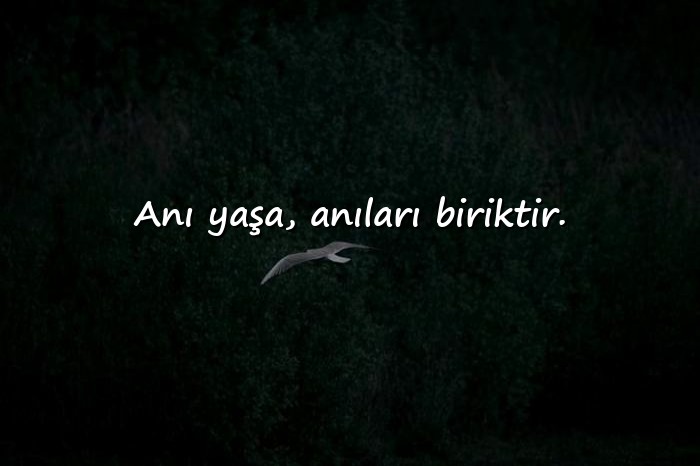 resimli hayat ile ilgili sözler - 3