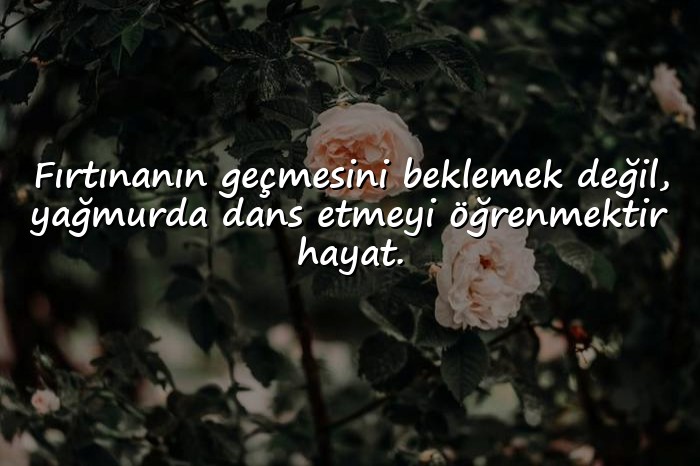 resimli hayat ile ilgili sözler - 18