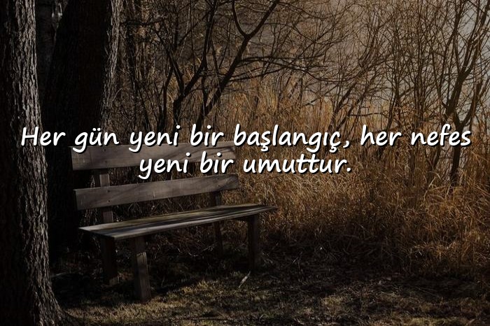 resimli hayat ile ilgili sözler - 13