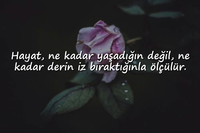 resimli hayat ile ilgili sözler - 8