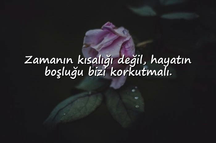 resimli hayat ile ilgili sözler - 3