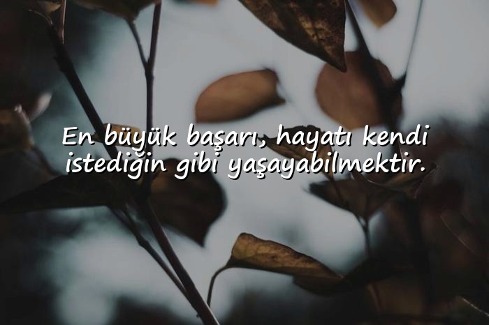 resimli hayat ile ilgili sözler - 1