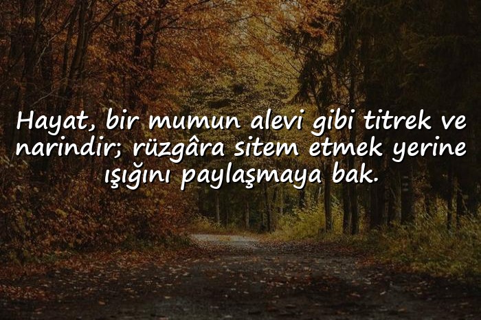 resimli hayat kısa sözleri - 6