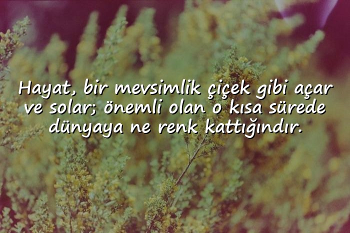 resimli hayat kısa sözleri - 16