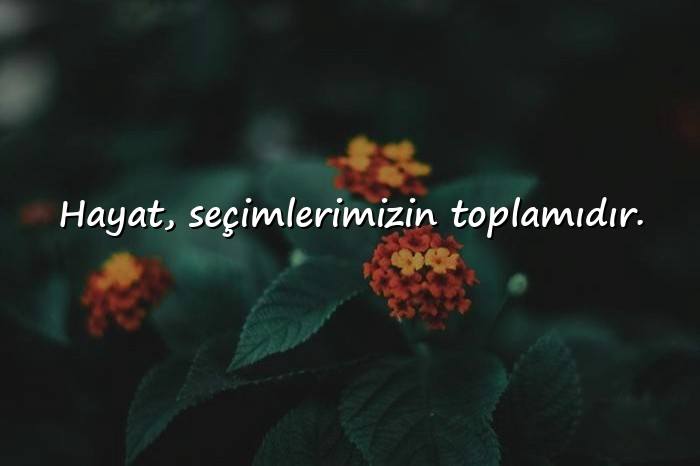 resimli hayata dair sözler - 1