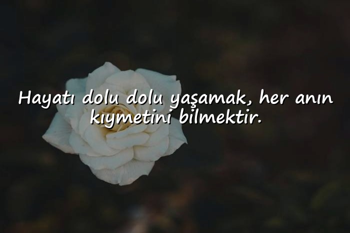 resimli hayata dair sözler - 21