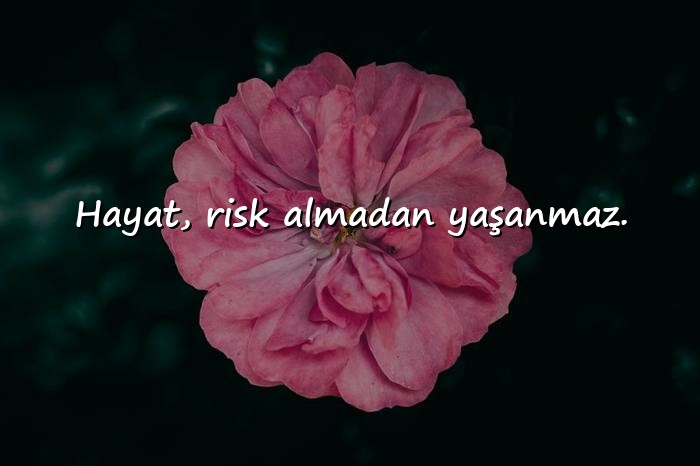 resimli hayata dair sözler - 16