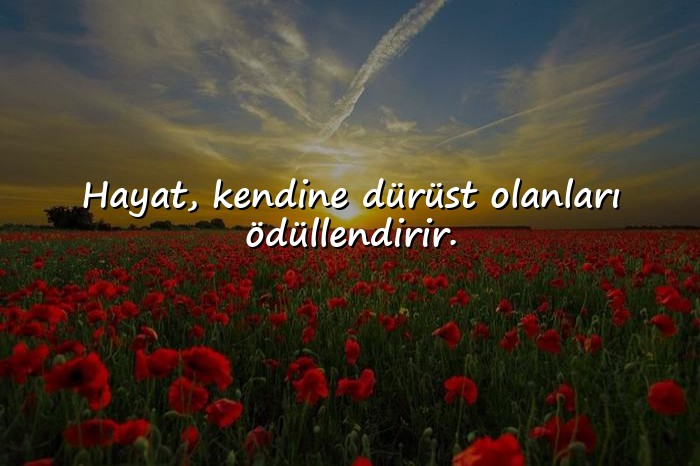 resimli hayata dair sözler - 11