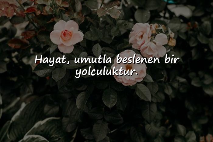 resimli hayata dair sözler - 6