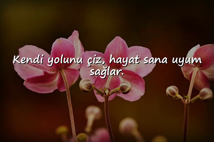resimli hayatla ilgili sözler - 19