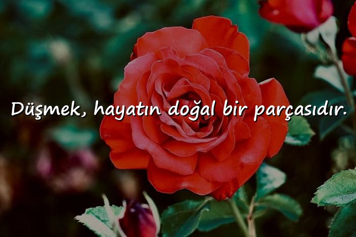 resimli hayatla ilgili sözler - 14