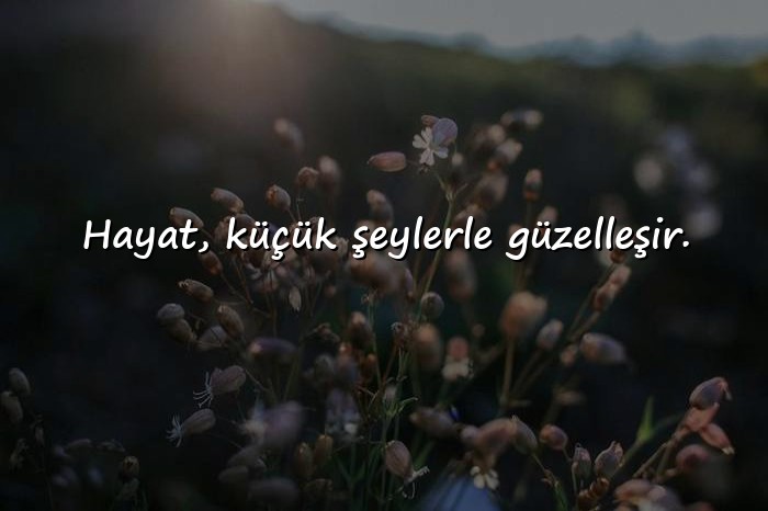 resimli hayatla ilgili sözler - 9