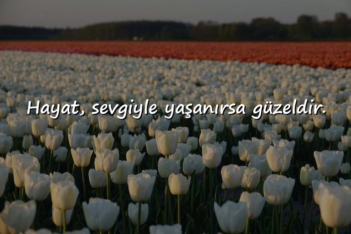 resimli hayatla ilgili sözler - 4