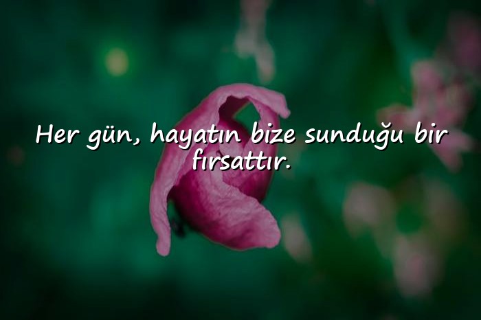 resimli hayatla ilgili sözler - 1