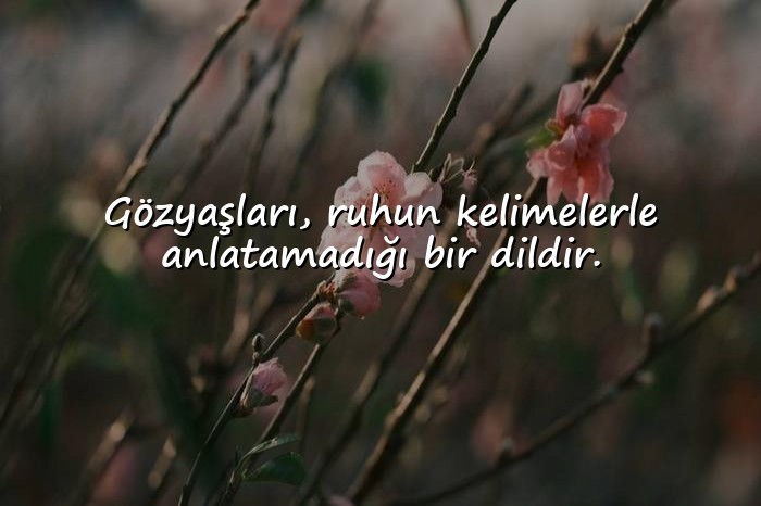 resimli hüzünlü sözler - 21