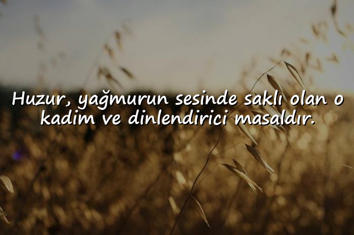 resimli huzur ile ilgili sözler - 6