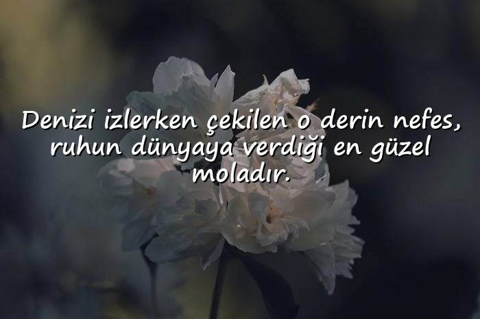 resimli huzurla ilgili sözler - 1