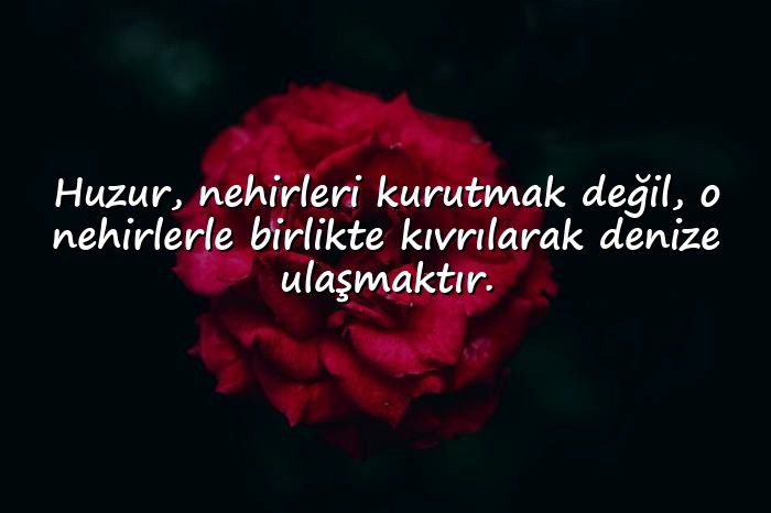 resimli huzurla ilgili sözler - 6