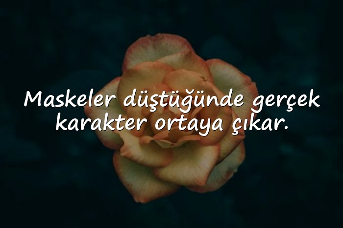 resimli iki yüzlü insanlar için sözler - 21