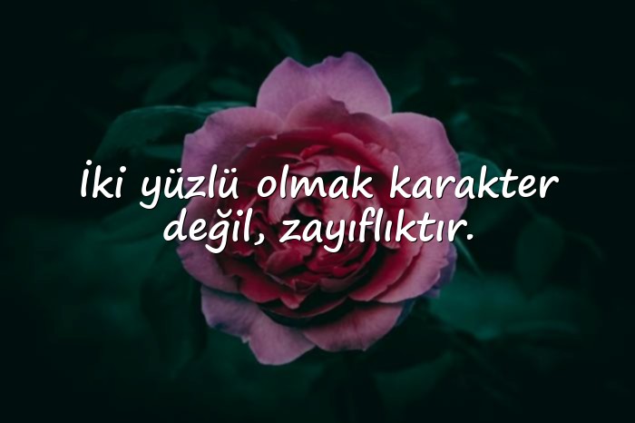 resimli iki yüzlü insanlar için sözler - 16