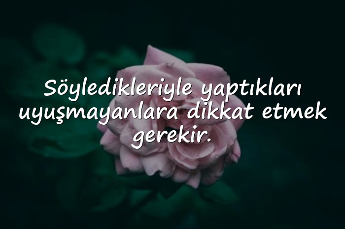 resimli iki yüzlü insanlar için sözler - 1