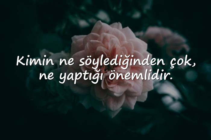resimli iki yüzlü insanlar için sözler - 11