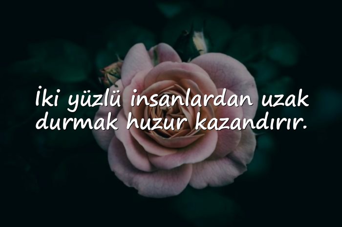 resimli iki yüzlü insanlar için sözler - 6