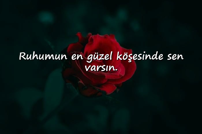 resimli iltifat sözleri - 16