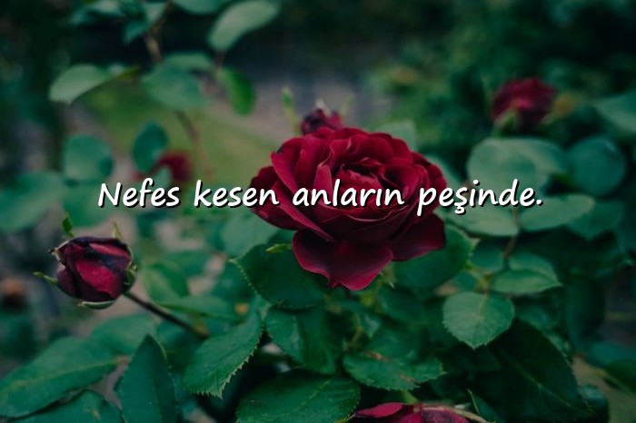 resimli instagram biyografi sözleri - 14