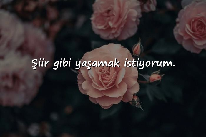 resimli instagram biyografi sözleri - 4