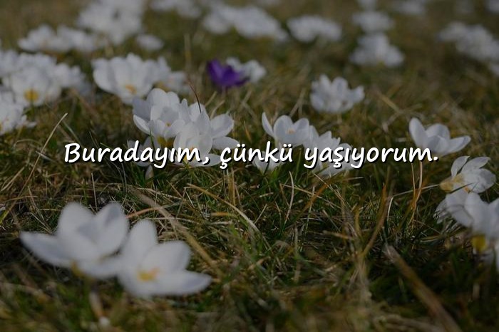 resimli instagram sözleri - 1