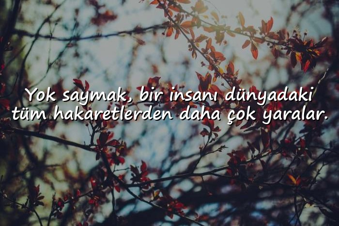 resimli intikam ile ilgili sözler - 1