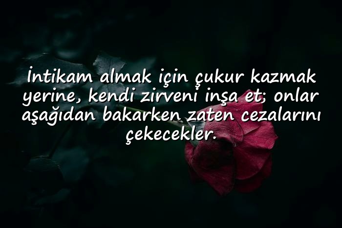resimli intikam ile ilgili sözler - 21