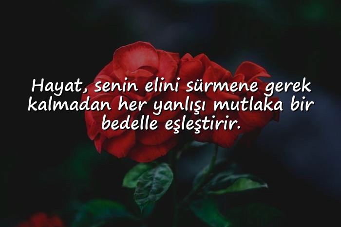 resimli intikam ile ilgili sözler - 16