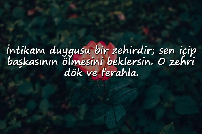 resimli intikam ile ilgili sözler - 11
