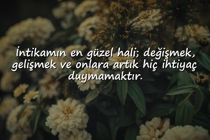 resimli intikam ile ilgili sözler - 1
